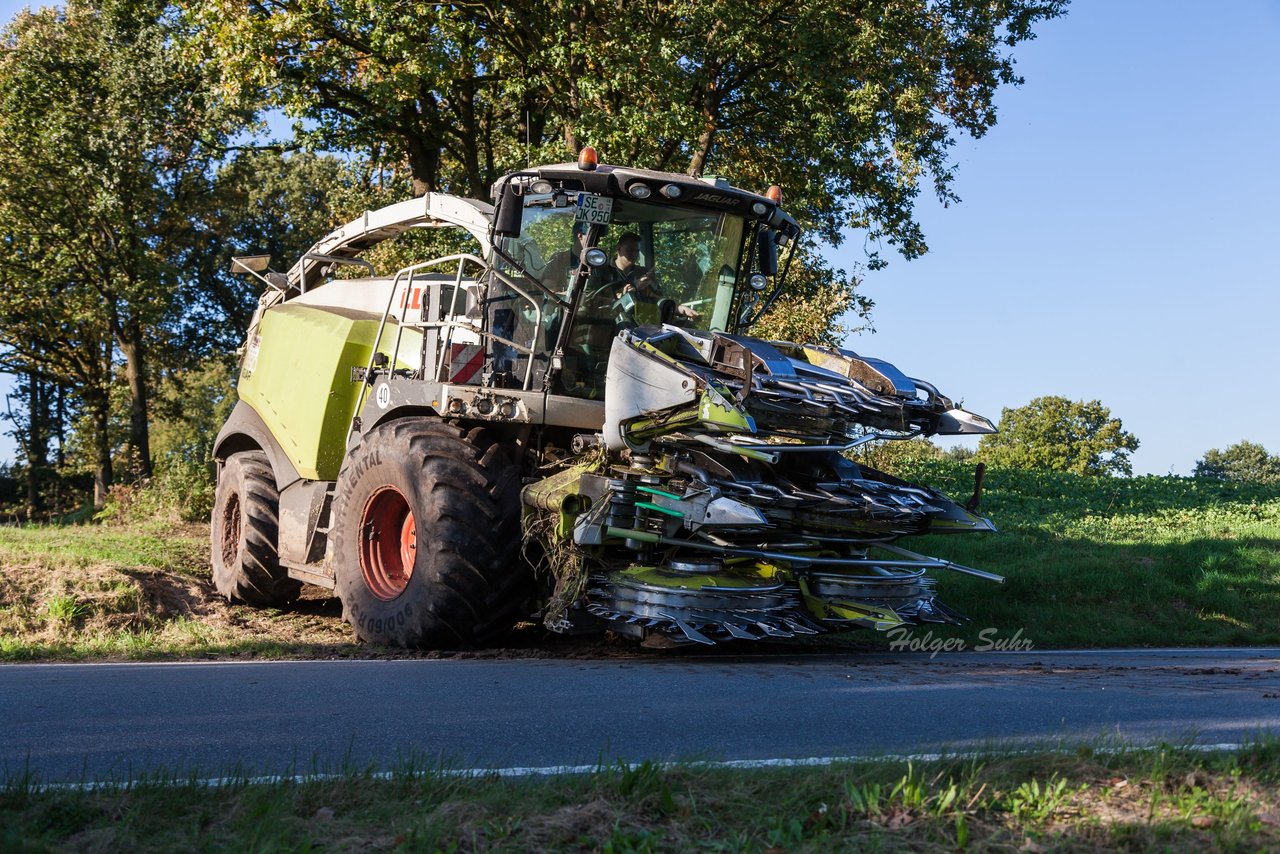 Bild 136 - Maisernte